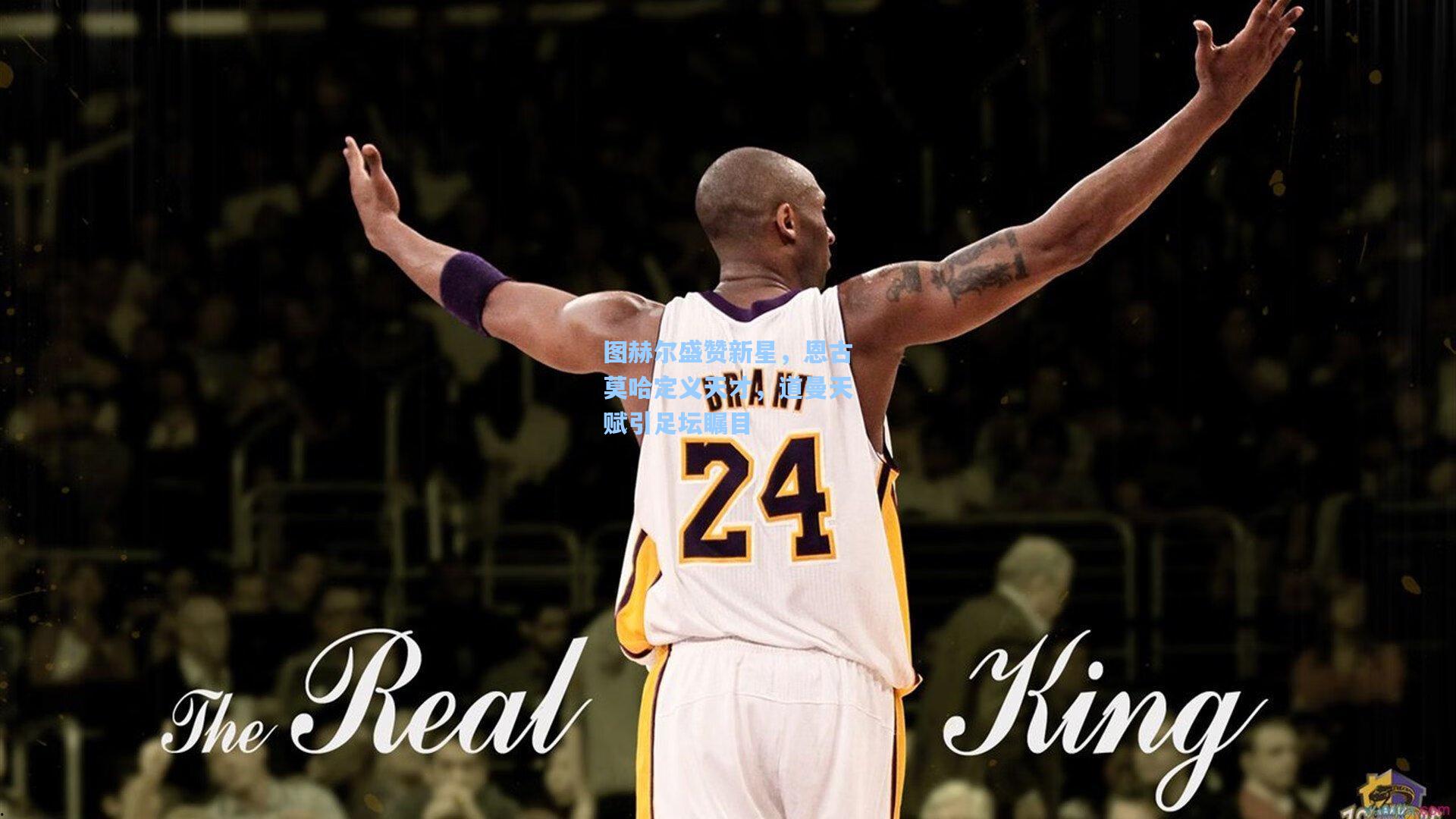 图赫尔盛赞新星，恩古莫哈定义天才，道曼天赋引足坛瞩目